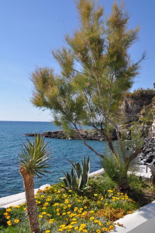 Bed and Breakfast La Citarea Forio di Ischia Zewnętrze zdjęcie