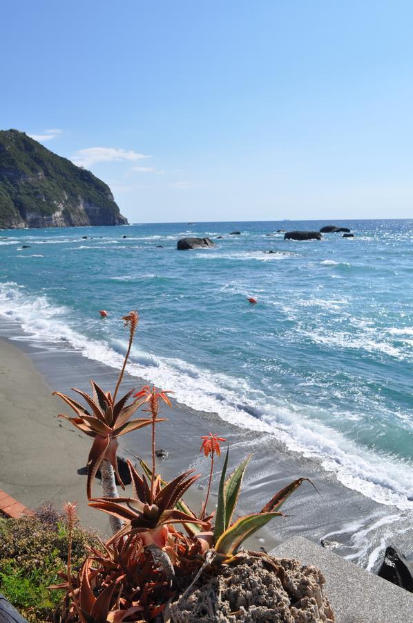 Bed and Breakfast La Citarea Forio di Ischia Zewnętrze zdjęcie