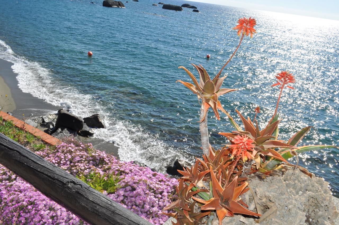Bed and Breakfast La Citarea Forio di Ischia Zewnętrze zdjęcie