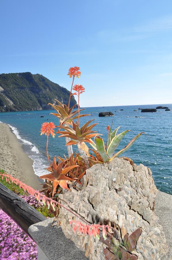 Bed and Breakfast La Citarea Forio di Ischia Zewnętrze zdjęcie